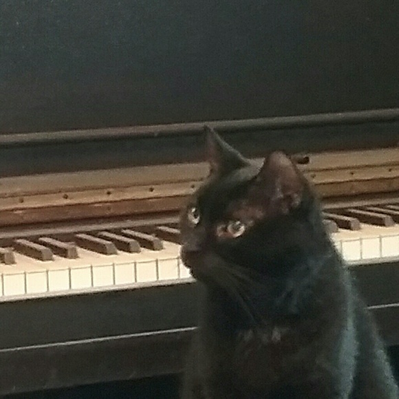 Meet your Posher, Terry - Picture 1 of 1